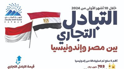 1.39 مليار دولار قيمة التبادل التجاري بين مصر وإندونيسيا خلال عشرة أشهر 