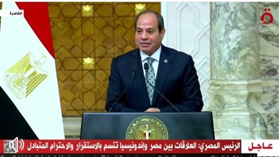 الرئيس السيسي: مصر أول دولة تعترف بإندونيسيا  وتؤسس علاقات دبلوماسية معها