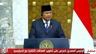 الرئيس الإندونيسي: نسعى لتبادل الخبرات مع مصر في مختلف المجالات