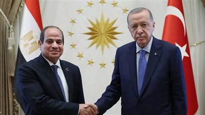 السيسي وأردوغان يؤكدان ضرورة تعزيز التعاون الثنائي وحل أزمات المنطقة
