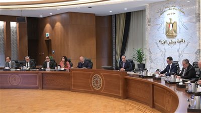 مدبولي: الحكومة تتبنى سياسات واضحة لتوطين صناعة السيارات 