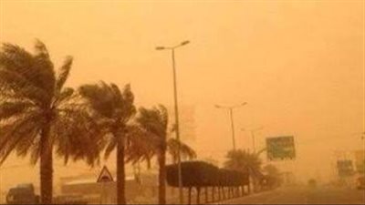  عاجل.. محافظ الإسكندرية يعلن تعطيل الدراسة غدًا  لهذا السبب