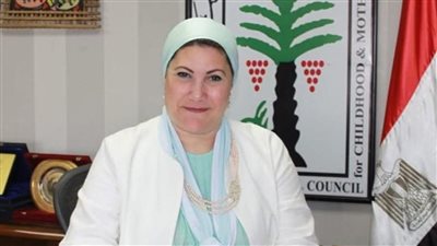 باجتماع منظمة الإسكوا.. “قومي المرأة” يستعرض نجاح مشروع 
