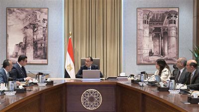 رئيس الوزراء يؤكد ضرورة تنوع الاستعمالات المقترحة لمدينة سفنكس الجديدة