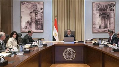 رئيس الوزراء.. قريبا طرح شركتي 