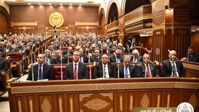 مجلس الشيوخ يناقش تطوير الثروات المعدنية وتعزيز استثمارات قطاع الطاقة