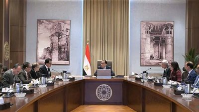 مدبولي: توفير المواد الخام اللازمة للنهوض بصناعة الدواء في مصر 