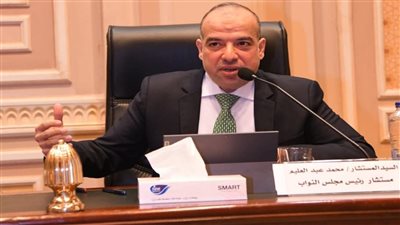مستشار رئيس النواب: صياغة 