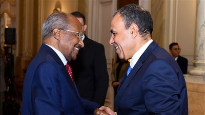 وزير الخارجية لنظيره الإريتري: مصر حريصة على دعم القضايا الإفريقية 