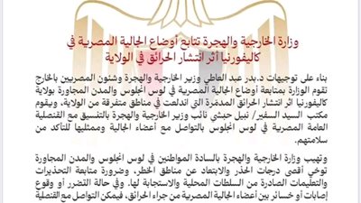 الخارجية: نتابع أوضاع الجالية المصرية في كاليفورنيا إثر انتشار الحرائق بالولاية