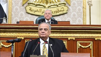 النواب يوافق على 143 مادة من قانون الإجراءات الجنائية الجديد