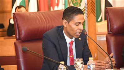كيان رواد مصر: محو الأمية الرقمية والتقليدية ضرورة لمواجهة تحديات العصر العربي