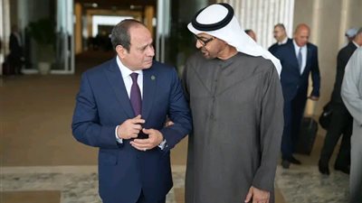 السيسي ونظيره الإماراتي يؤكدان حرصهما على تنفيذ اتفاق وقف إطلاق النار بـغزة 