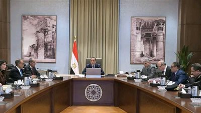 رئيس الوزراء يبحث مقترحات تيسير إنهاء إجراءات وصول السائحين إلى المطارات المصرية