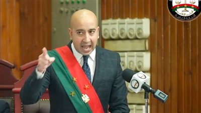 حين خان الأصدقاء والجيران.. النيابة تكشف تفاصيل قتل ابن السفير المصري 