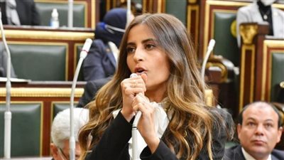 إيلاريا حارص تطالب باجتماع طارئ لجامعة الدول العربية لبحث محاولات تهجير الفلسطينيين