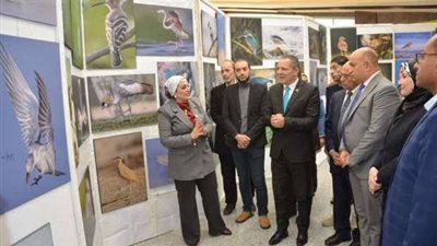 جامعة دمياط تحتفل بالتنوع البيولوجي وتطلق مهرجانًا للطيور المهاجرة