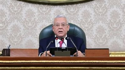 مجلس النواب يؤكد دعمه الكامل لجهود الرئيس في حماية الأمن القومي المصري 