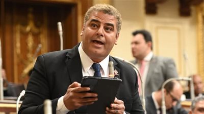 نائب التنسيقية: تسهيلات ضريبية جديدة لدمج الاقتصاد غير الرسمي وحل المنازعات