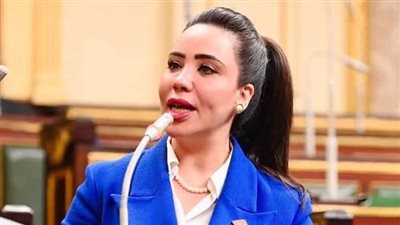 تحقيقًا للعدالة الضريبية.. نائبة التنسيقية تتقدم بتعديل على قانون الضريبة على الدخل