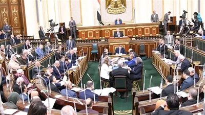  النواب يؤكد دعمه لجهود رئيس الجمهورية في حماية الأمن القومي ومقدرات الوطن 