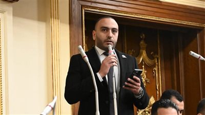 نائب التنسيقية: لن نقف مكتوفي الأيدي أمام تهجير الفلسطينيين وندعم القيادة السياسية