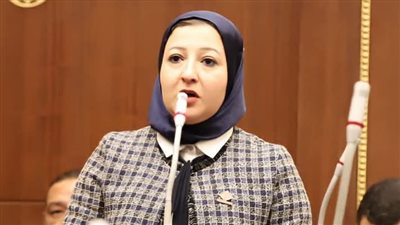 نائبة التنسيقية: ضرورة تشجيع الاستثمار المباشر ورأس المال المخاطر لدعم المشروعات الناشئة