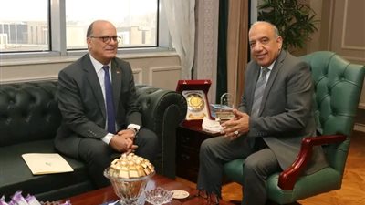  عصمت: الطاقة الكهربائية ركيزة أساسية للتنمية ونعمل على توطين صناعة الطاقات المتجددة