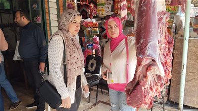  ضبط لحوم واسماك فاسده بكفرالشيخ وتحرير محاضر للمخالفين 