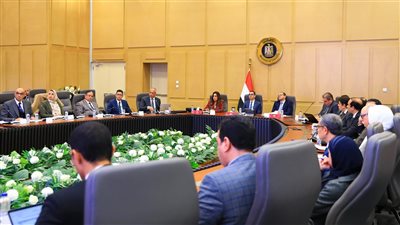 منظومة الرقابة على الصادرات والواردات في اجتماع وزراء الاستثمار والمالية والتنمية المحلية