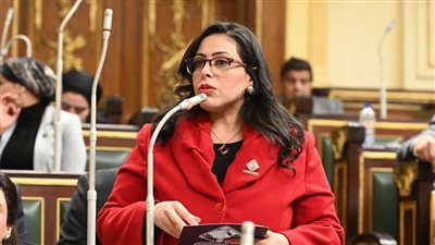 وكيل اتصالات النواب: تعديل اتفاقية البترول بالصحراء الغربية يعزز قطاعي الاقتصاد والطاقة