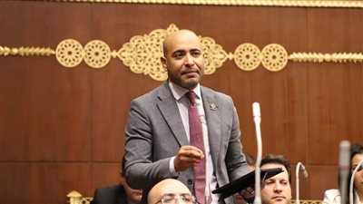 برلماني: دعم الابتكار في البحث العلمي ضرورة لتعزيز تنافسية الاقتصاد المصري