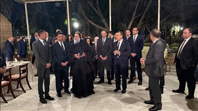 وزير الخارجية: مصر تولي اهتمامًا خاصًا برعاية مواطنيها في الخارج