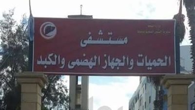 محافظ دمياط يتابع خروج 16 مريضًا فلسطينيًا من مستشفى الحميات بعد عام من العلاج