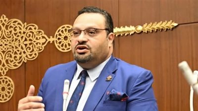 القناوي: البيئة التشريعية في مصر طاردة لريادة الأعمال وتعيق الاستثمار