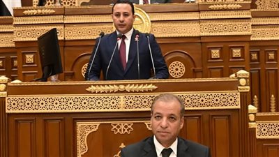 نائب بالتنسيقية يستعرض طلب مناقشة حول التحول للسيارات الكهربائية وتوطينها بمجلس الشيوخ