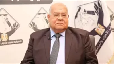عضو بالشيوخ: المواطن بحاجة لحلول عادلة لا مجرد تفسيرات