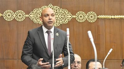 محمود القط يشكر رئيس مجلس الشيوخ ويسأل الحكومة عن خطتها لتنمية سيناء