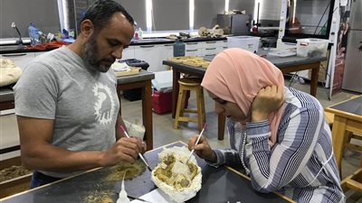 بالصور..اكتشاف  جمجمة لآكل لحوم  استوطن مصر قبل نحو 30 مليون عاما