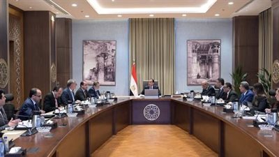 الحكومة: نسعى لزيادة حجم الطاقة الكهربائية المنتجة من مصادر الطاقة الجديدة والمتجددة