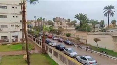 حالة الطقس اليوم في مصر.. أجواء معتدلة على أغلب الأنحاء وتحذيرات من رياح جنوبية