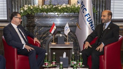 سفير مصر بفيينا يؤكد حرص مصر على تعزيز الشراكات مع المؤسسات الدولية لدعم المشروعات التنموية