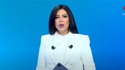 أمل الحناوي: مصر في مقدمة الدول العربية التي تبحث عن حل عادل للقضية الفلسطينية