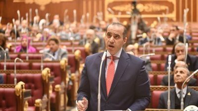 وزير الشؤون النيابية يؤكد أهمية الوقوف بجانب الشعب الفلسطيني وحل الدولتين لإنهاء هذا الصراع للأبد