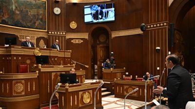 مجلس الشيوخ يناقش دعم الصادرات ووزير الشئون النيابية يؤكد: التصدير أصبح قضية أمن قومي