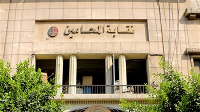غدًا.. انطلاق المرحلة الثانية من انتخابات النقابات الفرعية للمحامين تحت إشراف قضائي كامل