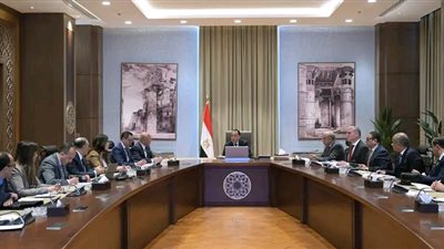 مصر تطلق مشروع الهيدروجين والأمونيا الخضراء في خليج السويس