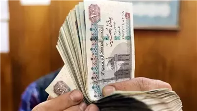 وزيرة التضامن: غدا.. صرف 