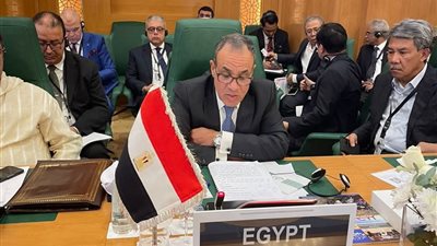 وزير الخارجية والهجرة يؤكد علي مركزية القضية الفلسطينية للأمة الإسلامية