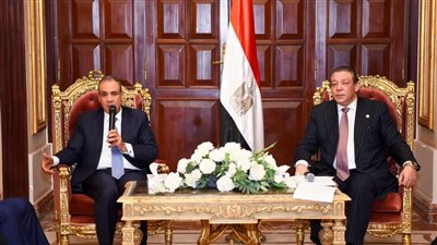 وزير الخارجية يبحث مع البرلمان تحديات السياسة الخارجية ودعم المصريين بالخارج